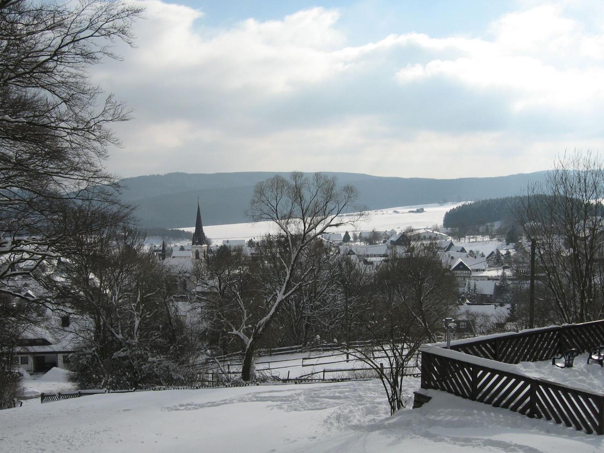 Nice Holiday Home Near Ski Area Medebach Eksteriør bilde